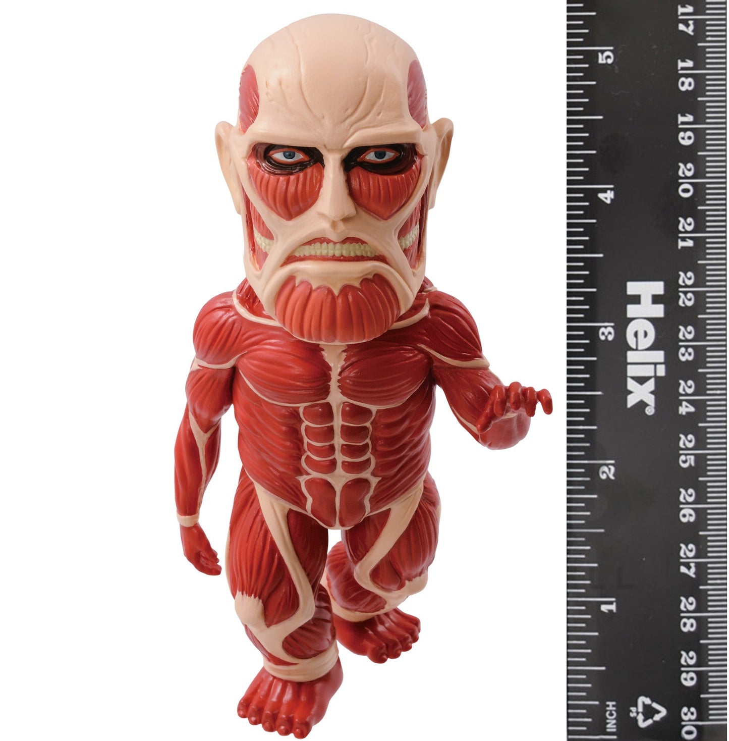 Attack on Titan Colossal Titan World Collectable Figure MEGA WCF MG 01 Japan New