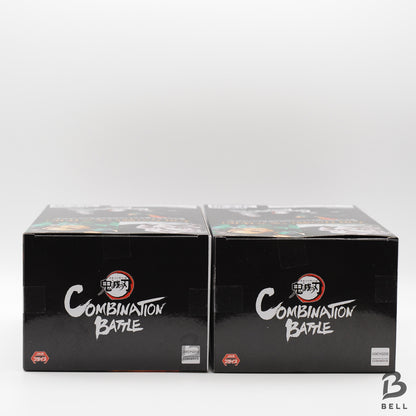 DEMON SLAYER Tanjiro Kamado Rui Combination Battle Figure set New Japan sealed