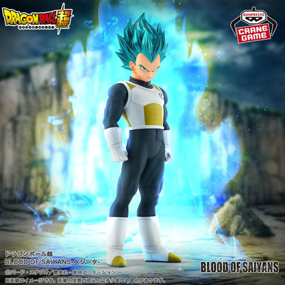 Dragon Ball Super BLOOD OF SAIYANS VEGETA Banpresto Official Figure Japan Anime