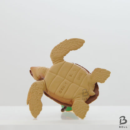 Dragon Ball Z Son Gohan & Turtle Figure Gacha Gashapon Japan Toy Bandai New HG