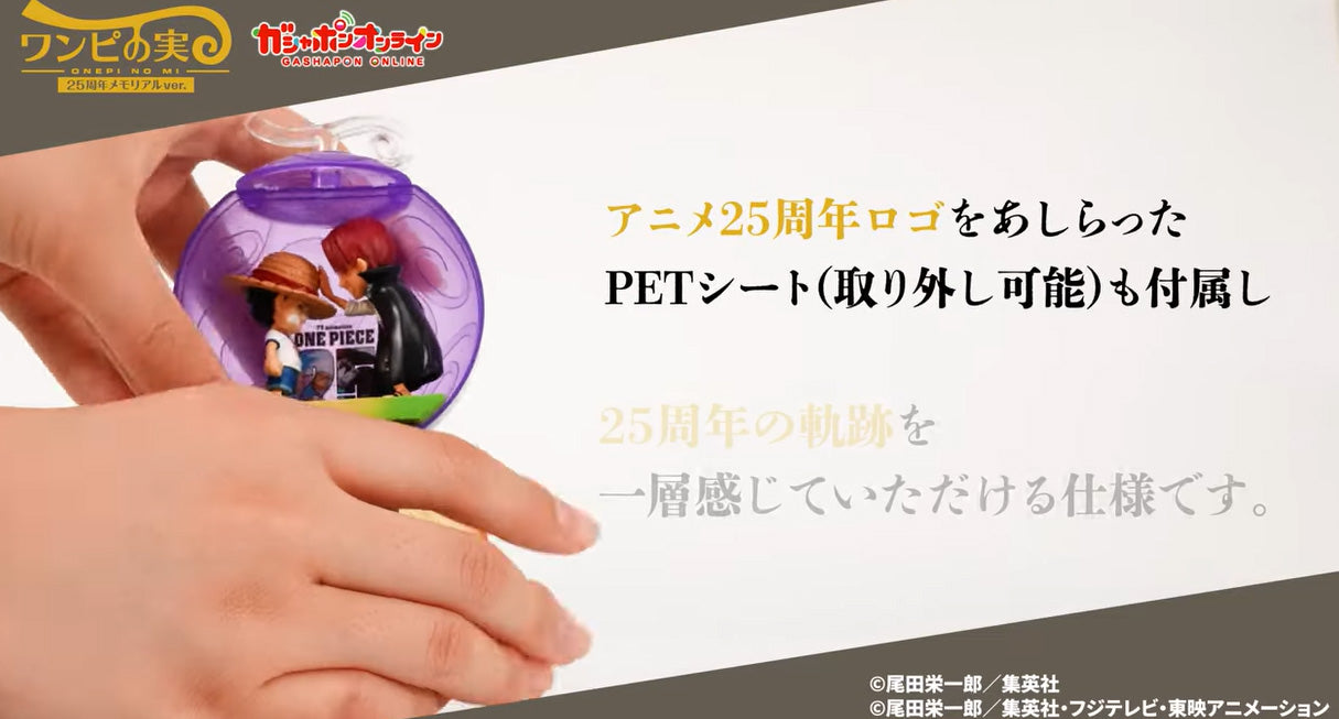 One Piece Onepi no Mi 25th Anniversary Memorial ver. Gashapon Figure Black ver.