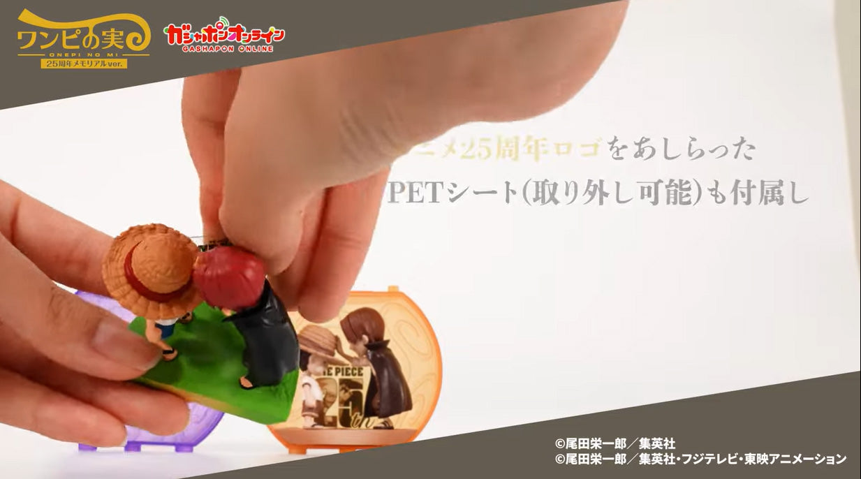 One Piece Onepi no Mi 25th Anniversary Memorial ver. Gashapon Figure Black ver.