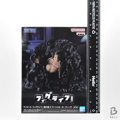 One Piece FIGURE LIFE! Marshall D. Teach Blackbeard Darkness Hole Figure Japan