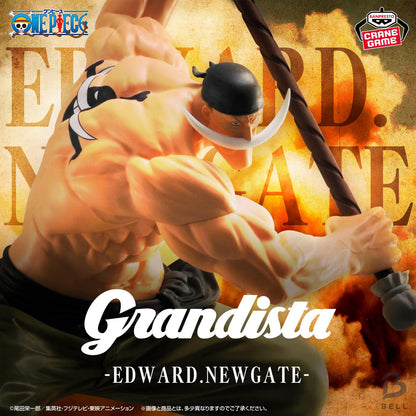 One Piece Whitebeard Pirates BATTLE RECORD COLLECTION Grandista Figure 5 Set New