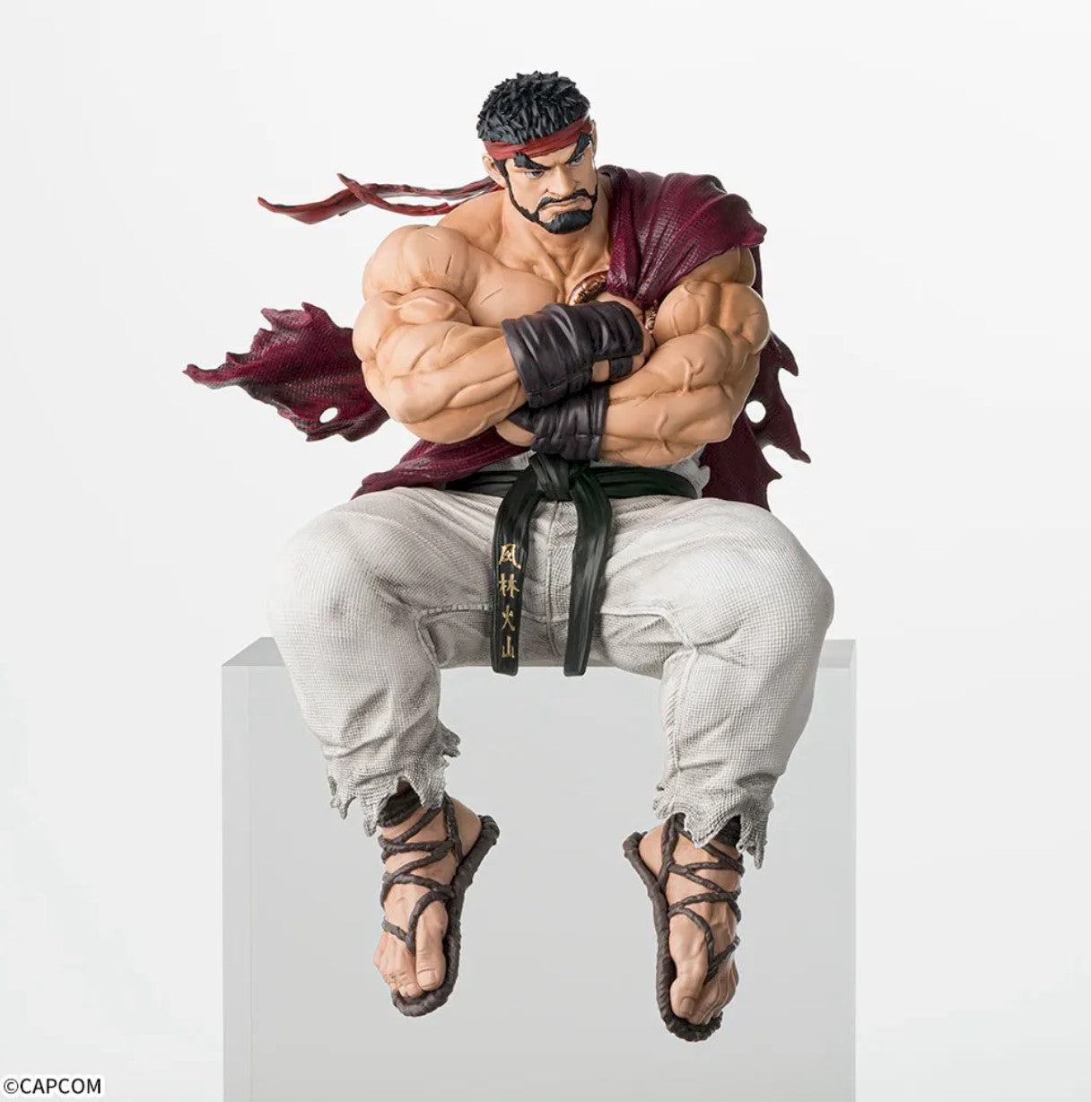 Street Fighter 6 Ryu Game Official Chokonose Premium Figure SEGA JAPN New in Box